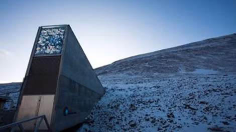 Vào năm 2016, Phòng trữ hạt Doomsday Vault tại khu Bắc Cực thuộc Na Uy, nơi lưu trữ hàng triệu loại hạt giống khác nhau cho tương lai nhân loại, đã bị nước băng tan chảy tràn vào.