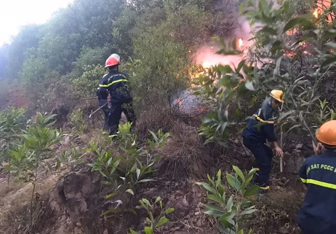 Phòng Cảnh sát PCCC&CNCH, Công an tỉnh Nghệ An huy động lực lượng, phương tiện Đội CC&CNCH số 2, số 4 phối hợp các đơn vị liên quan, tham gia chữa cháy rừng tại Diễn Châu.