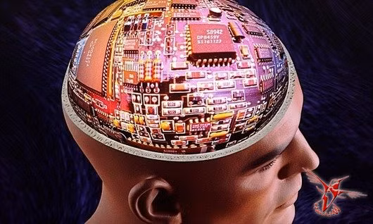 Bộ nhớ nằm trong vỏ não.