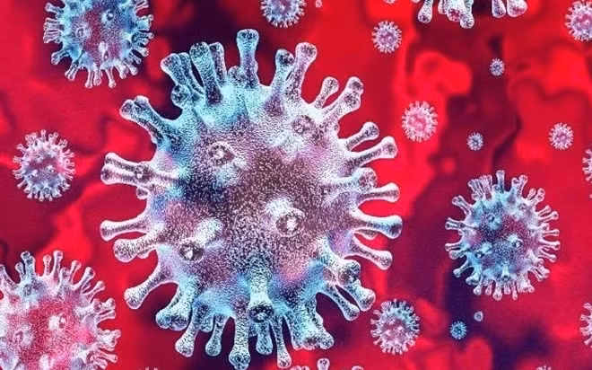 Virus corona. Ảnh: Democratic accent.