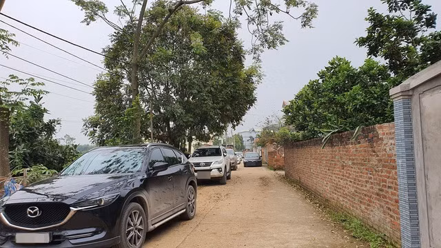 Hàng đoàn xe ô tô xếp hàng dài tranh mua tranh bán đất Đồng Trúc.