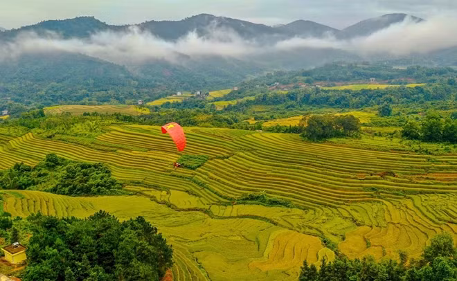 Những thửa ruộng bậc thang tuyệt đẹp tại Quảng Ninh.
