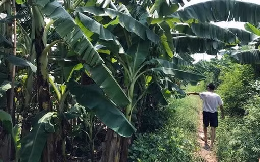 Y án 2 kẻ hiếp dâm bé gái 14 tuổi ảnh 3