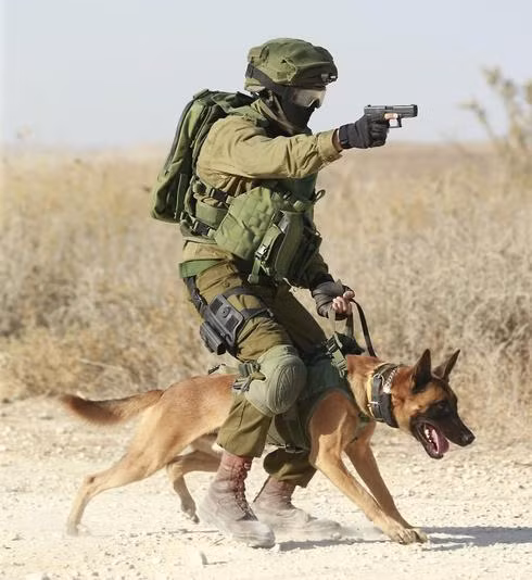 Một binh sĩ Israel với chó huấn luyện. Một binh sĩ Israel với chó huấn luyện.