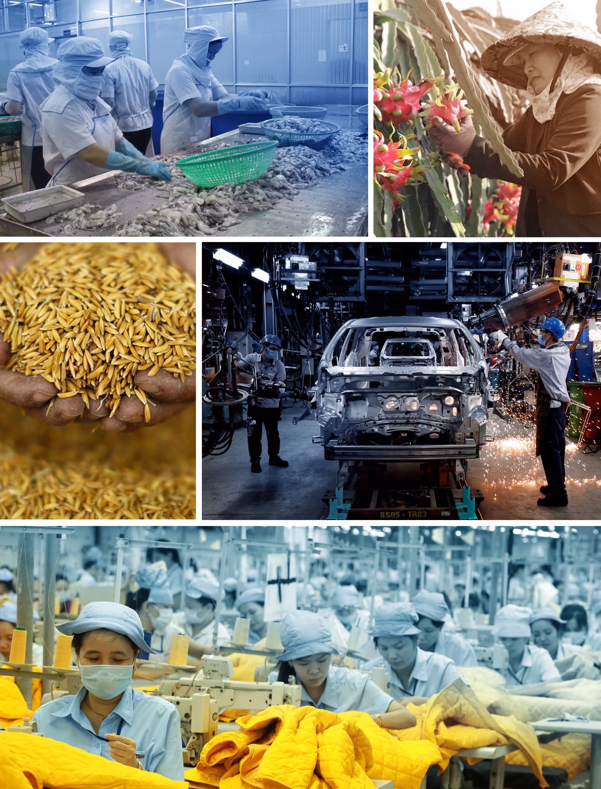 RCEP – Trái ngọt của hơn 8 năm đàm phán ảnh 15