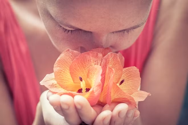 Những hồi ức đã mất có thể được tái hiện chỉ với một mùi hương quen thuộc.