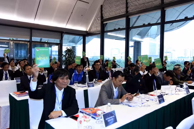 VFF sẽ kiểm phiếu trực tiếp tại đại hội. Ảnh: VFF.