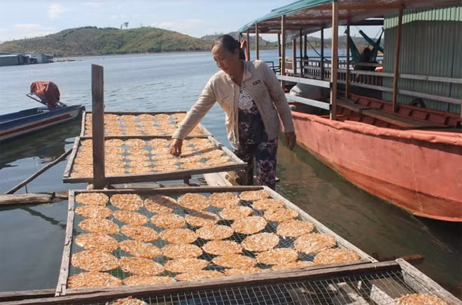 Đặc sản bánh tráng cá của cư dân làng chài. Đặc sản bánh tráng cá của cư dân làng chài.