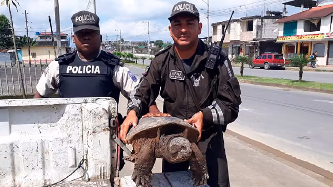 Cảnh sát Costa Rica và một con rùa bị săn trộm.
