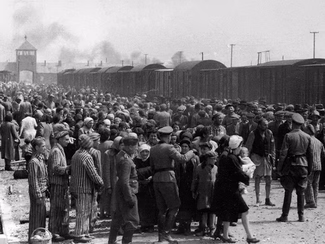 Phân loại tù nhân lúc vừa đến trại Auschwitz.