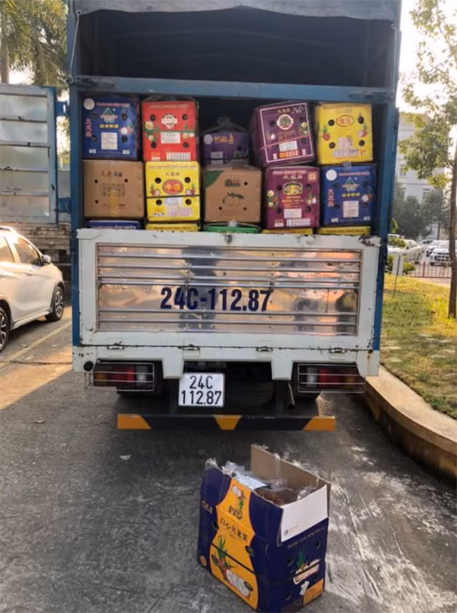 Bắt lô hàng 5100 kg sâm đất.