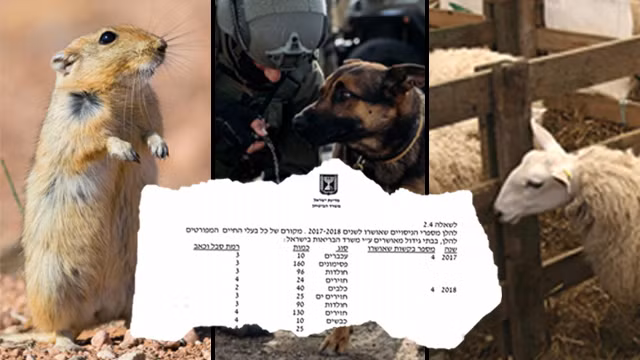 Tổ chức Let the Animal Live kêu gọi sự minh bạch hoàn toàn để bảo vệ các động vật bị sử dụng trong thí nghiệm quân sự. Tổ chức Let the Animal Live kêu gọi sự minh bạch hoàn toàn để bảo vệ các động vật bị sử dụng trong thí nghiệm quân sự.