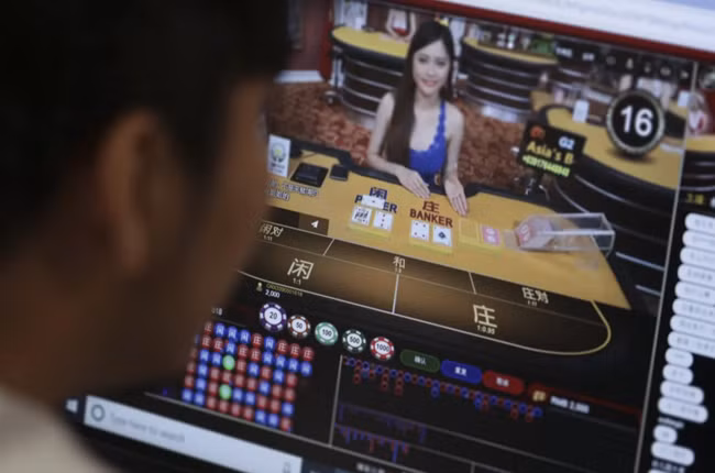 Người chơi chăm chú nhìn vào ván bài trên màn hình để biết mình thắng hay thua.