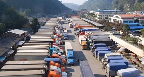 Hàng khô của Việt Nam khi xuất khẩu sang Trung Quốc phải bọc màng nilon ảnh 1