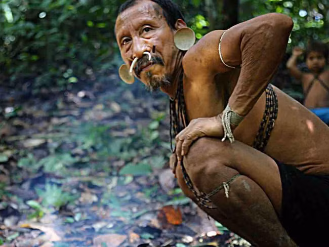 Những người Bimbos lớn tuổi đều xỏ răng nanh động vật qua lỗ mũi.