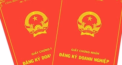 Xử phạt doanh nghiệp lấn chiếm đất rừng sản xuất ảnh 2