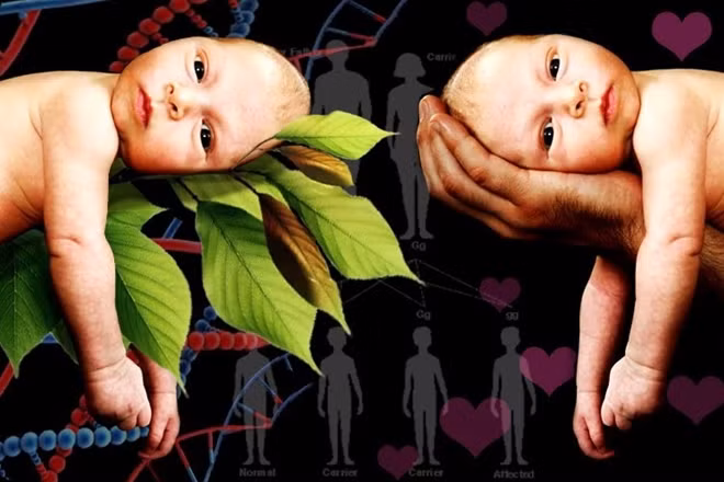 Con người luôn bị chi phối bởi nhiều thứ trong cuộc sống, từ gene cho đến các cơ chế ngoại di truyền.
