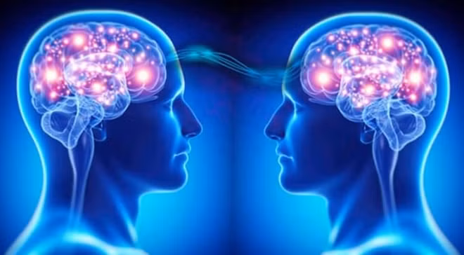 Nhiều ý kiến tín rằng não bộ có năng lực “cắt-dán” để “đọc” tâm trí của người khác.