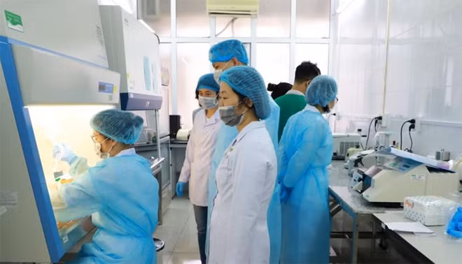 Cán bộ y tế tỉnh Quảng Ninh vận hành máy xét nghiệm virus Sars-CoV-2. Cán bộ y tế tỉnh Quảng Ninh vận hành máy xét nghiệm virus Sars-CoV-2.