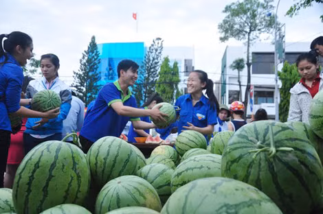 Các thanh niên tình nguyện bán dưa giúp nông dân ở Quảng Ngãi.