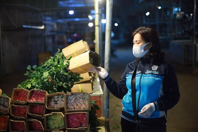 Chị Hương một tiểu thương kinh doanh hoa hồng Đà Lạt cho biết lượng hoa tiêu thụ ở cửa hàng của chị tụt xuống khoảng gần 5 lần so với trước dịch. Cả buổi tối ngày 27/4 chị chỉ bán được vỏn vẹn 3 bó hoa.