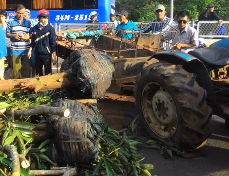 Hiện trường vụ tai nạn.