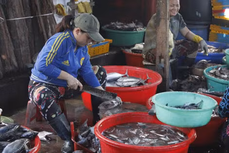 Mỹ Hương vào lò hấp từ năm 14 tuổi.