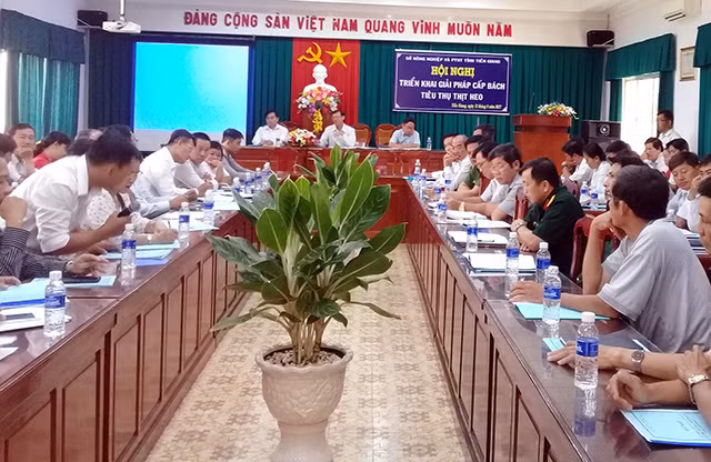 Hội nghị triển khai giải pháp cấp bách tiêu thụ thịt heo của tỉnh Tiền Giang.