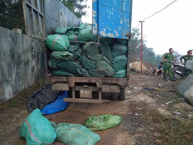 Các xe tải chở chất thải đi đổ trộm bị công an tạm giữ.