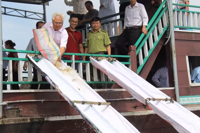 Hoạt động thả cá xuống hồ Trị An của tỉnh Đồng Nai