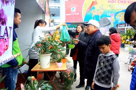 Gian hàng hoa và cây cảnh Đà Lạt thu hút được khá nhiều khách hàng quan tâm tại Hội chợ.