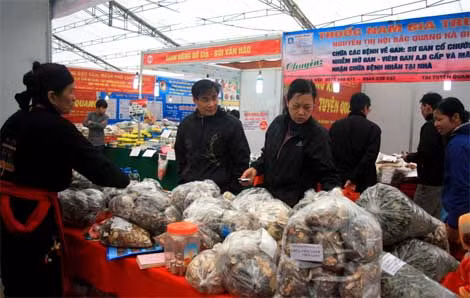 Các gian hàng thuốc bắc là một trong những mặt hàng thu hút người tiêu dùng Hà Thành tại Hội chợ lần này.