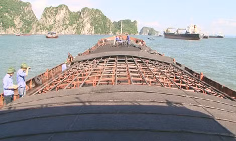 Tô Đăng Bình và tàu chở than lậu.