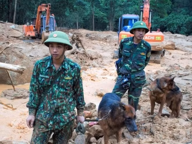 Đội chó nghiệp vụ thuộc trường Trung cấp 24 Biên phòng được đưa vào hiện trường sạt lở thủy điện Rào Trăng 3 hỗ trợ công tác tìm kiếm nạn nhân.