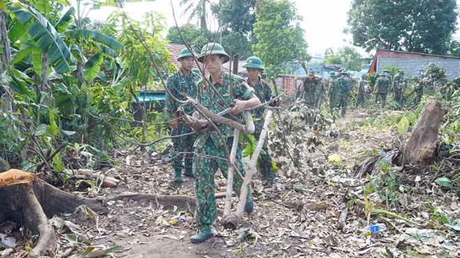 Lực lượng Bộ Chỉ huy Quân sự tỉnh Thừa Thiên Huế thu dọn cây cối vừa được phát quang.