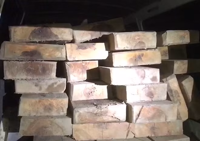 Hàng chục phách gỗ lậu trên xe khách.
