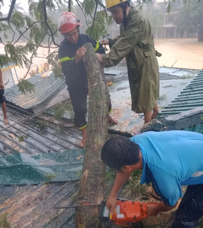 Lực lượng cứu hộ cưa cây gãy đổ trên thuyền rồng.