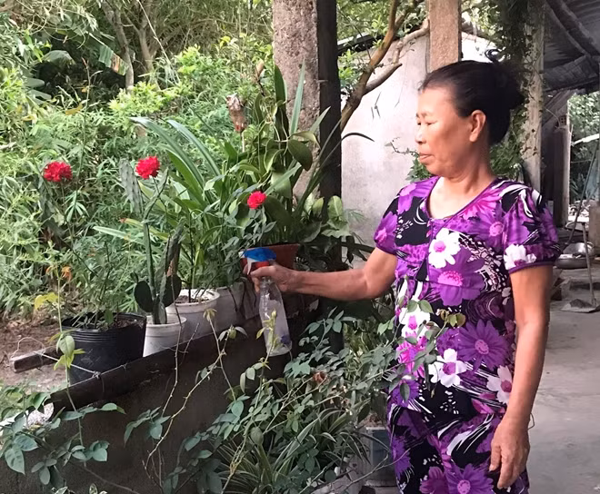 BN V. sinh hoạt bình thường sau hai lần can thiệp bít phình mạch não.