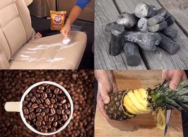 Những cách đơn giản để khử mùi hôi trong xe ô tô.
