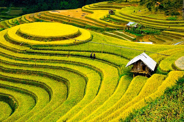 Cung đường Tây Bắc được nhiều du khách lựa chọn cho kỳ nghỉ lễ 2-9.