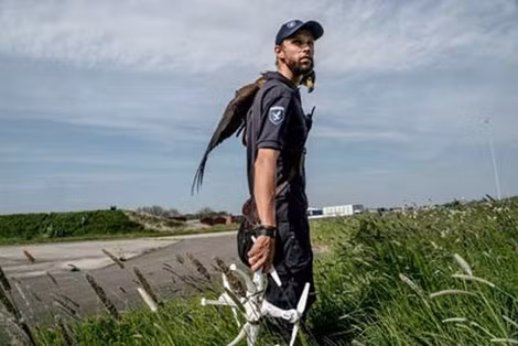 Chim đại bàng (đậu trên vai người huấn luyện) sau khi đã quắp gọn một chiếc drone. Chim đại bàng (đậu trên vai người huấn luyện) sau khi đã quắp gọn một chiếc drone.