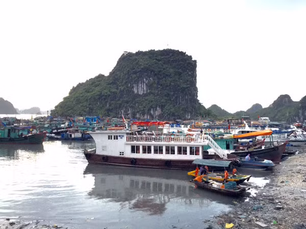 Tàu thuyền du lịch hoạt động tại Quảng Ninh.