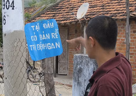 1001 kiểu rao bán cây thuốc thải độc gan.