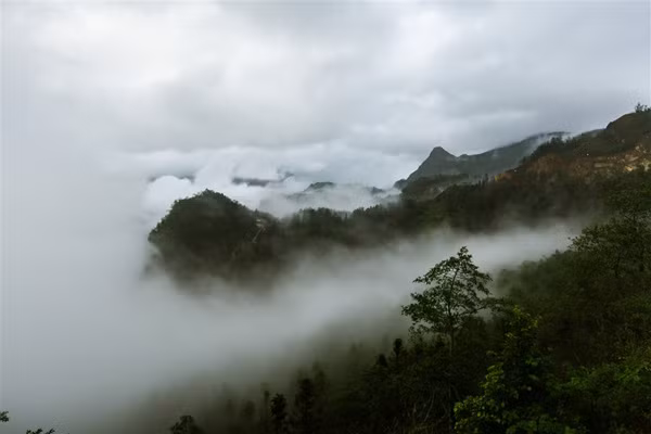 Sa Pa bồng bềnh trong mây. Ruộng bậc thang vẽ những nét ngoằn ngoèo sắc vàng của lúa trên cái nền xanh thẫm của núi rừng. Cảnh sắc ấy, du khách nào không mê mẩn cơ chứ.