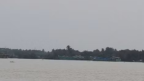 Sau một đêm hút cát, các ghe thuyền “nằm nghỉ” phía bên Đồng Nai chờ đêm đến lại hoạt động.