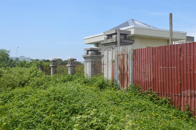 Chung quanh cỏ dại mọc đầy.