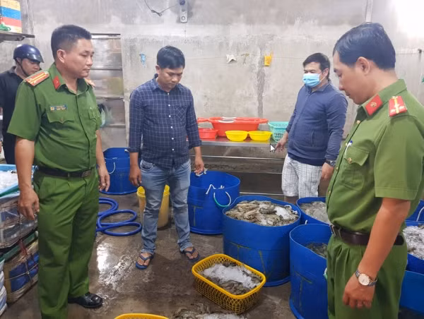 Phòng PC49 Công an Bạc Liêu bắt quả tang cơ sở của ông Việt đang bơm tạp chất CMC vào tôm nguyên liệu.