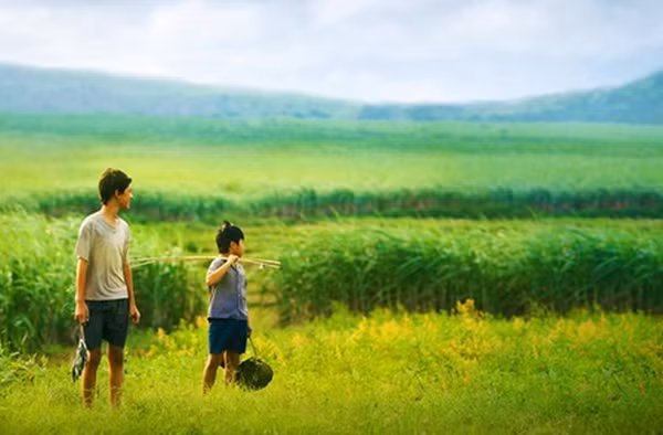 "Tôi thấy hoa vàng trên cỏ xanh" trở thành đại diện duy nhất của Việt Nam dự Oscar mùa giải thứ 89 "Tôi thấy hoa vàng trên cỏ xanh" trở thành đại diện duy nhất của Việt Nam dự Oscar mùa giải thứ 89