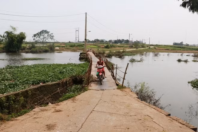Chị Trần Thị Thanh (một tiểu thương hay đi qua cây cầu) Chia sẻ "Nếu không đi qua cầu, thì phải sử dụng đò để qua sông hoặc đi vòng qua xã Thụy Hương (thị trấn Chúc Sơn, Chương Mỹ) rồi đi qua cầu Mai Lĩnh cách xa khoảng 7km".