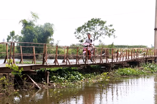 Cây cầu này là lối đi chính của hơn 1.000 nhân khẩu thuộc tổ dân phố 18 (phường Đồng Mai, Hà Đông, Hà Nội). Hiện toàn bộ hoạt động đi lại, giao lưu buôn bán, đều phải đi qua cầu Đồng Hoàng. Nếu không đi qua cầu, người dân phải đi vòng lên cầu Mai Lĩnh (xa hơn gần 7 km).